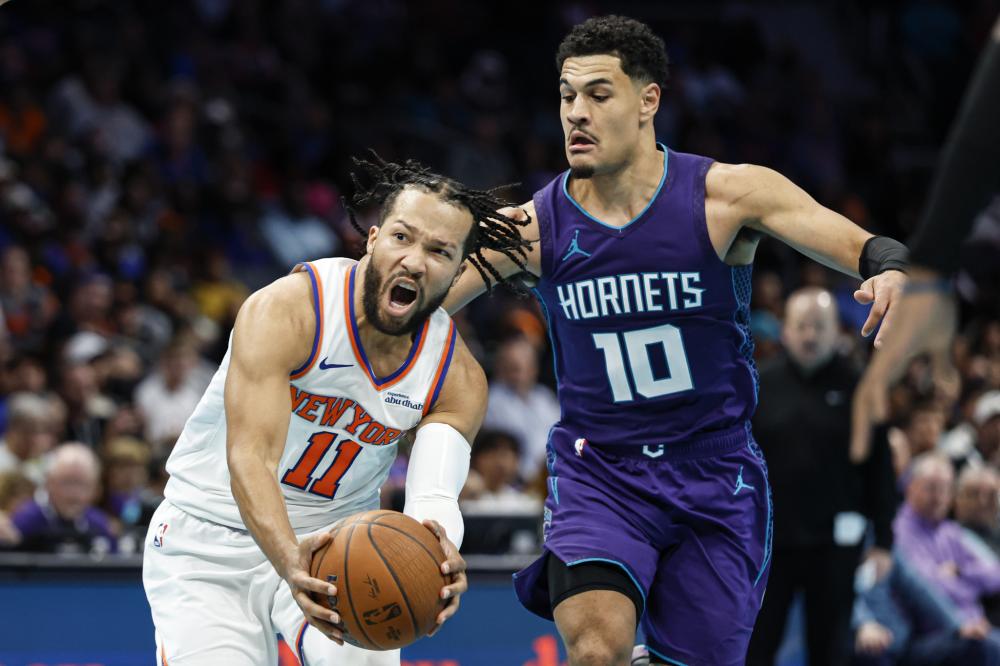 员们提供了 员们提供了